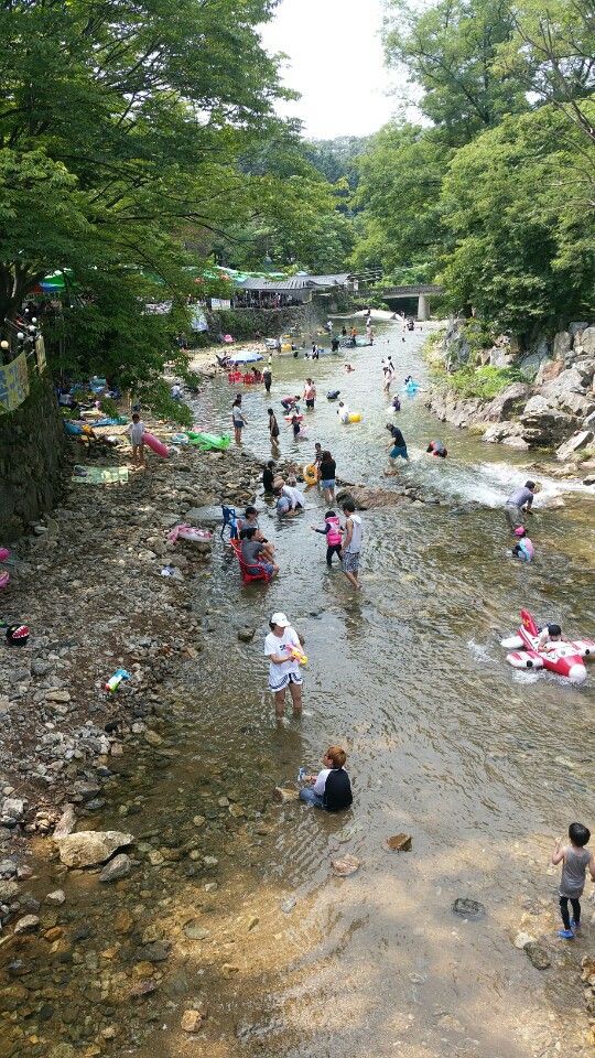 2017.8.1