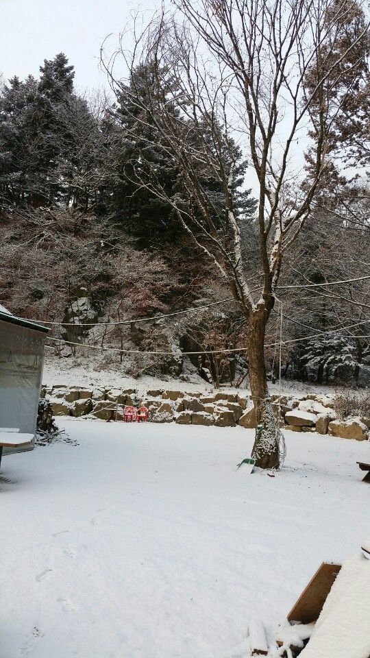 신선계곡 풍경