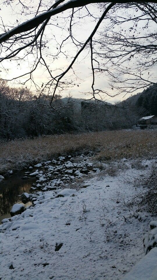 신선계곡 풍경