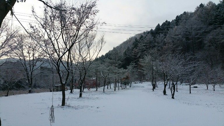신선계곡 풍경