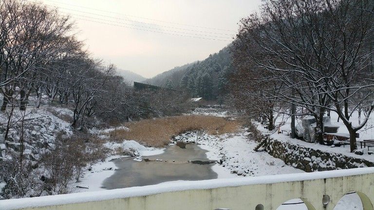 신선계곡 풍경