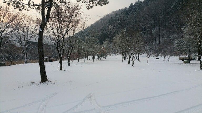 신선계곡 풍경