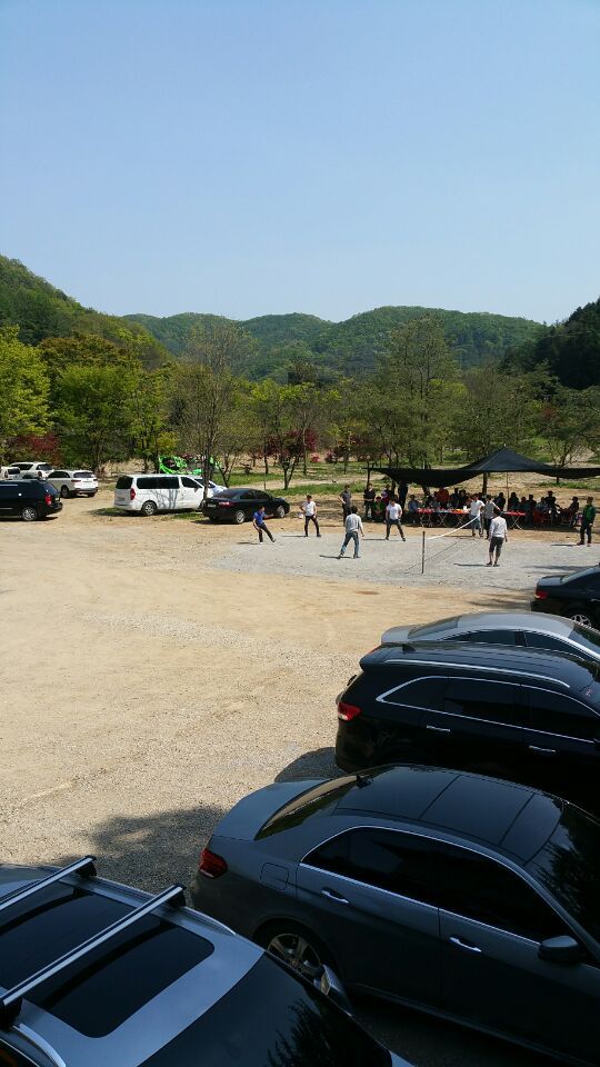 단체모임 족구