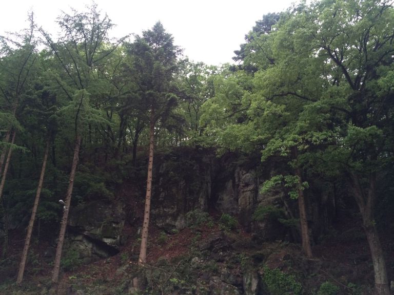 전경사진