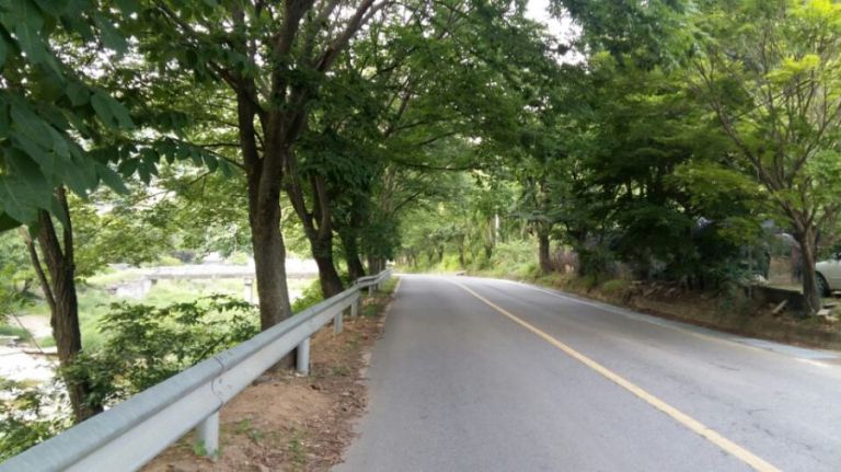 전경사진
