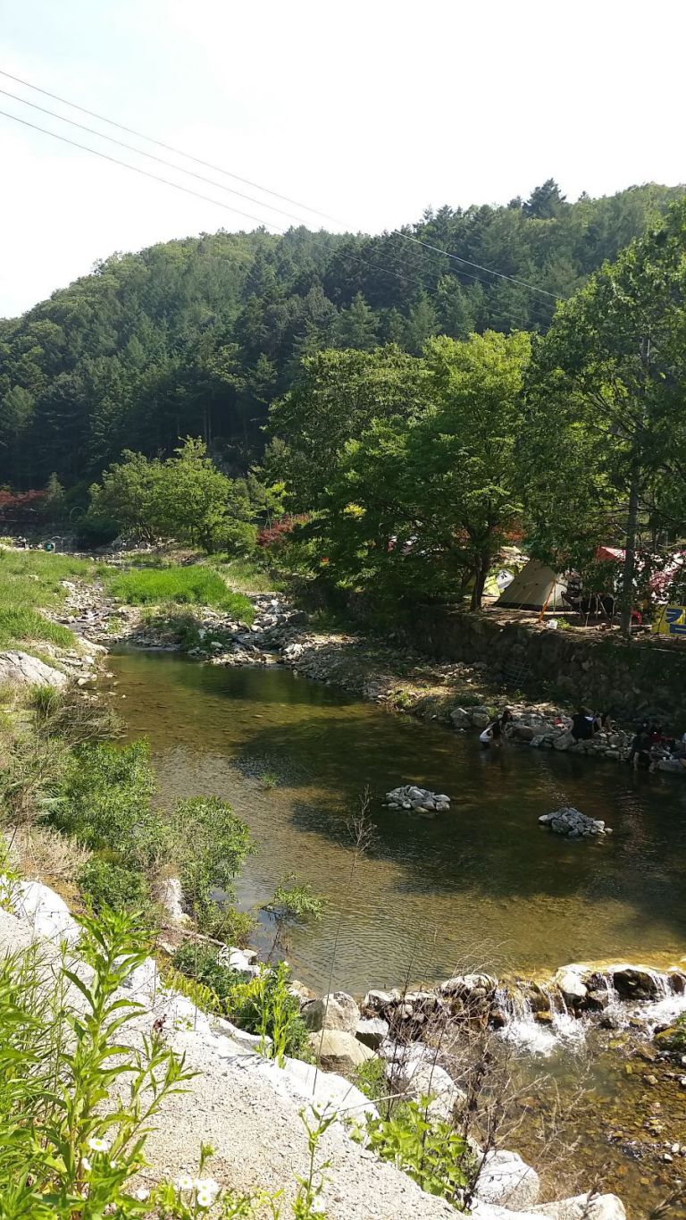 전경사진
