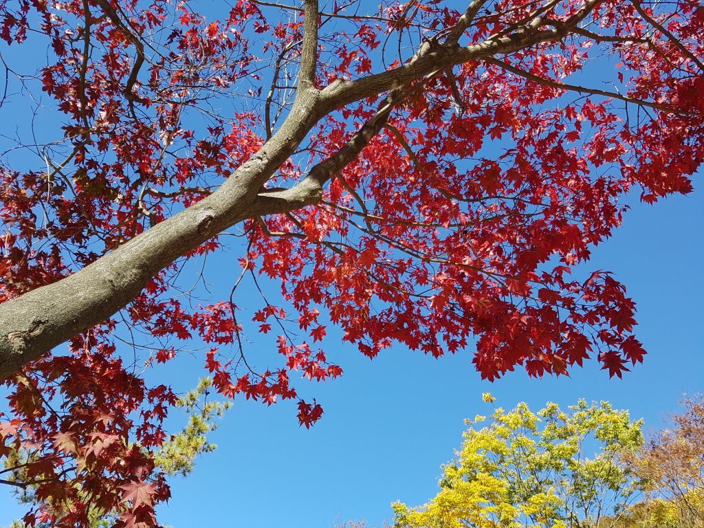 전경사진