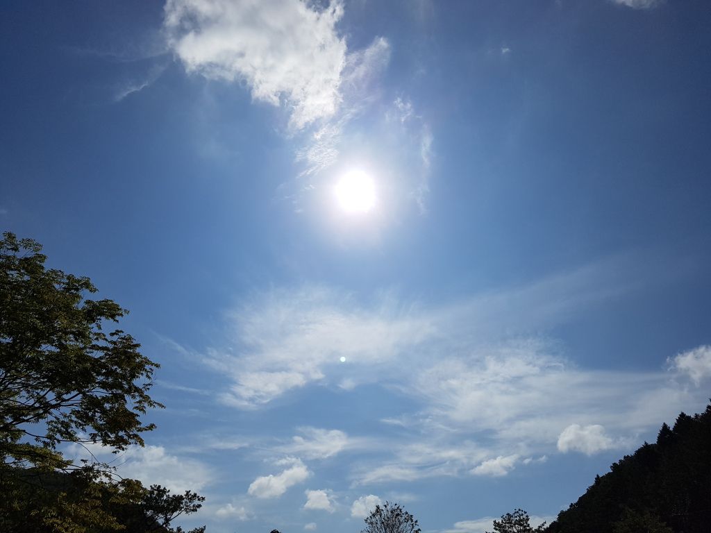 전경사진