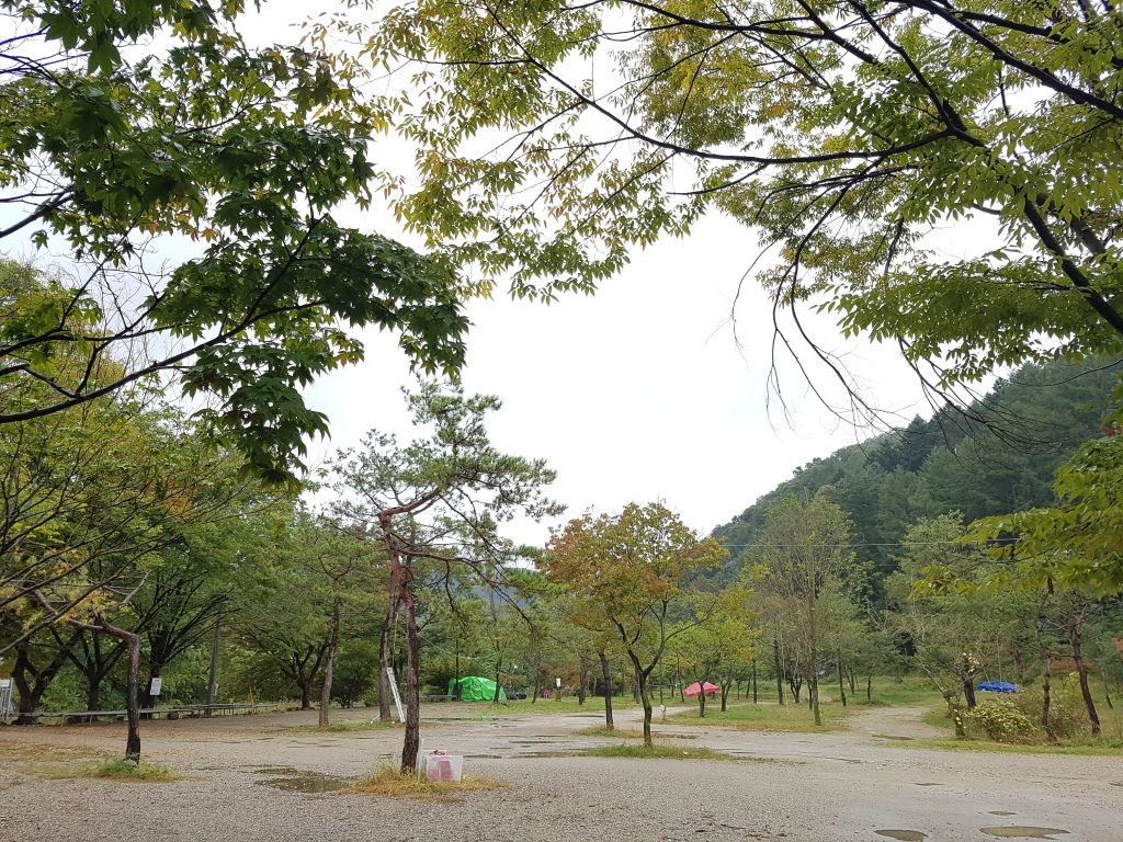 전경사진