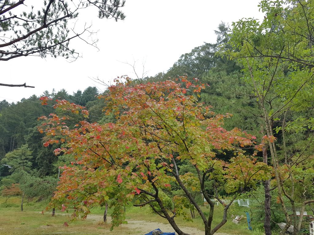 전경사진