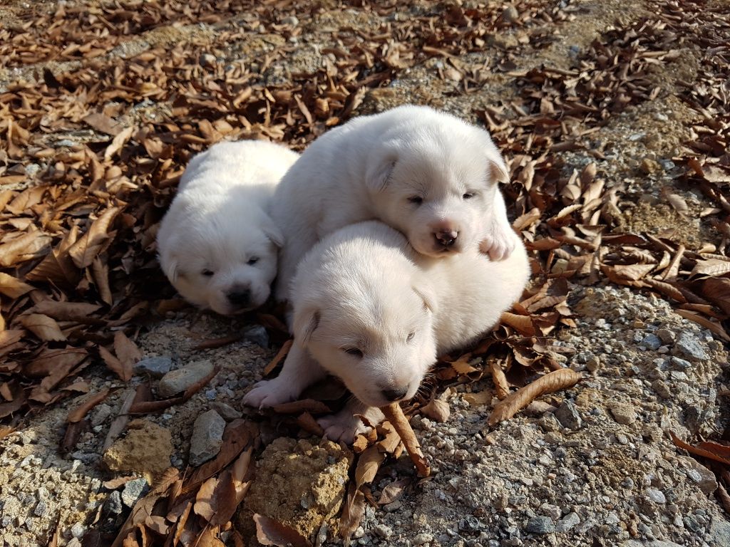 전경사진