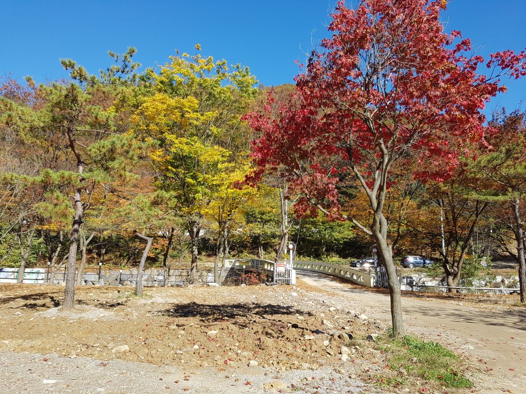 전경사진