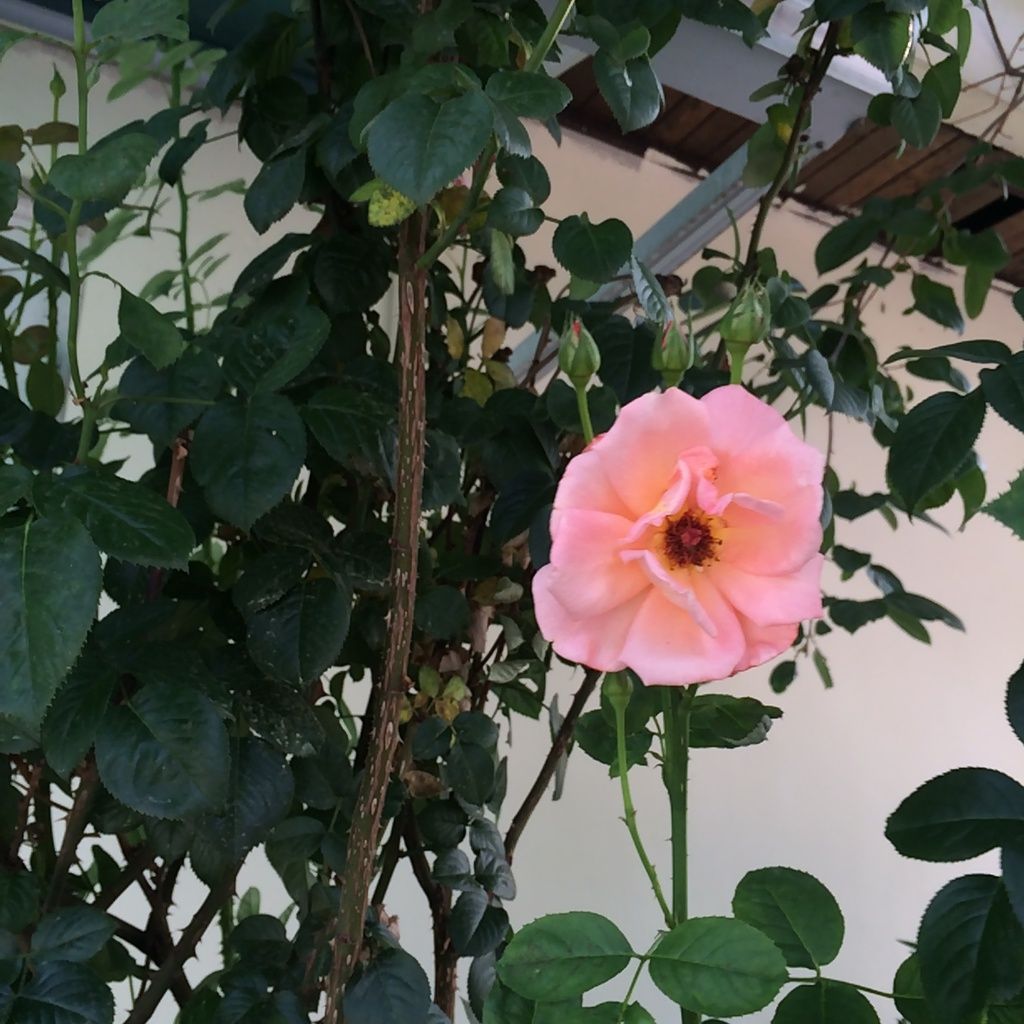 전경사진