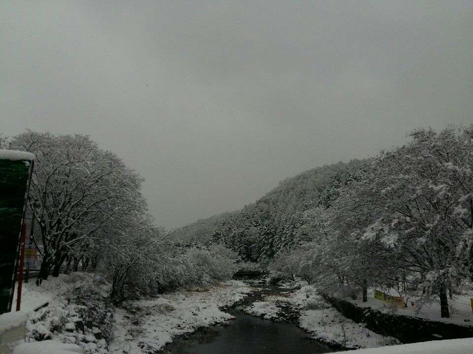 전경사진