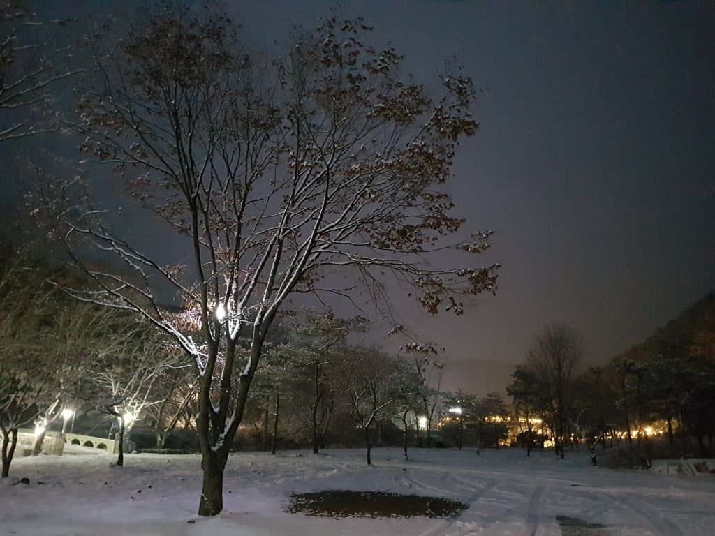 전경사진
