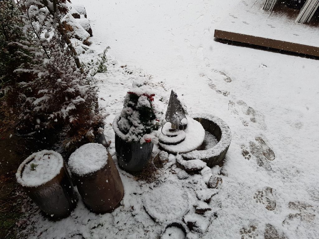 전경사진