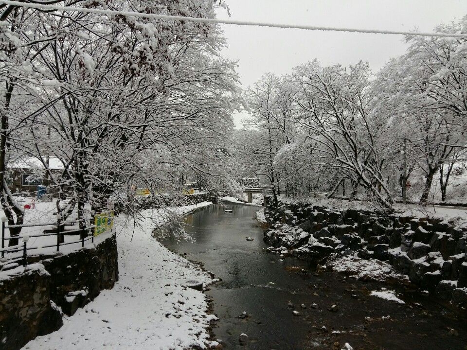 전경사진