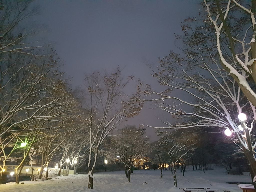 전경사진