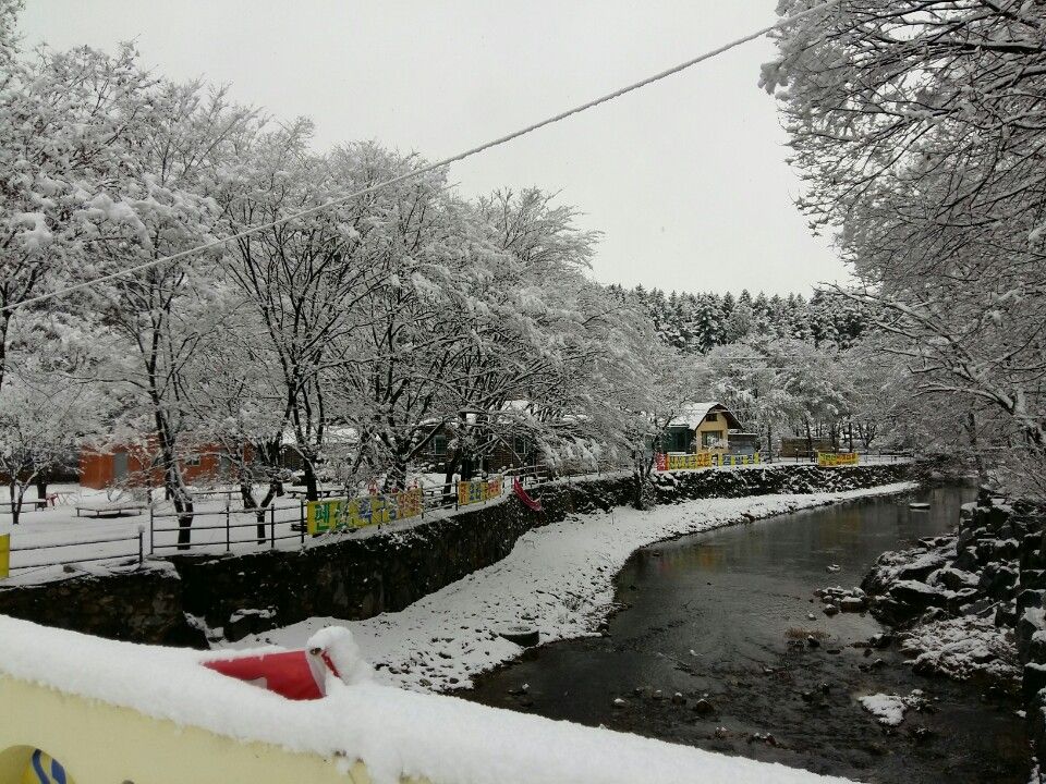 전경사진