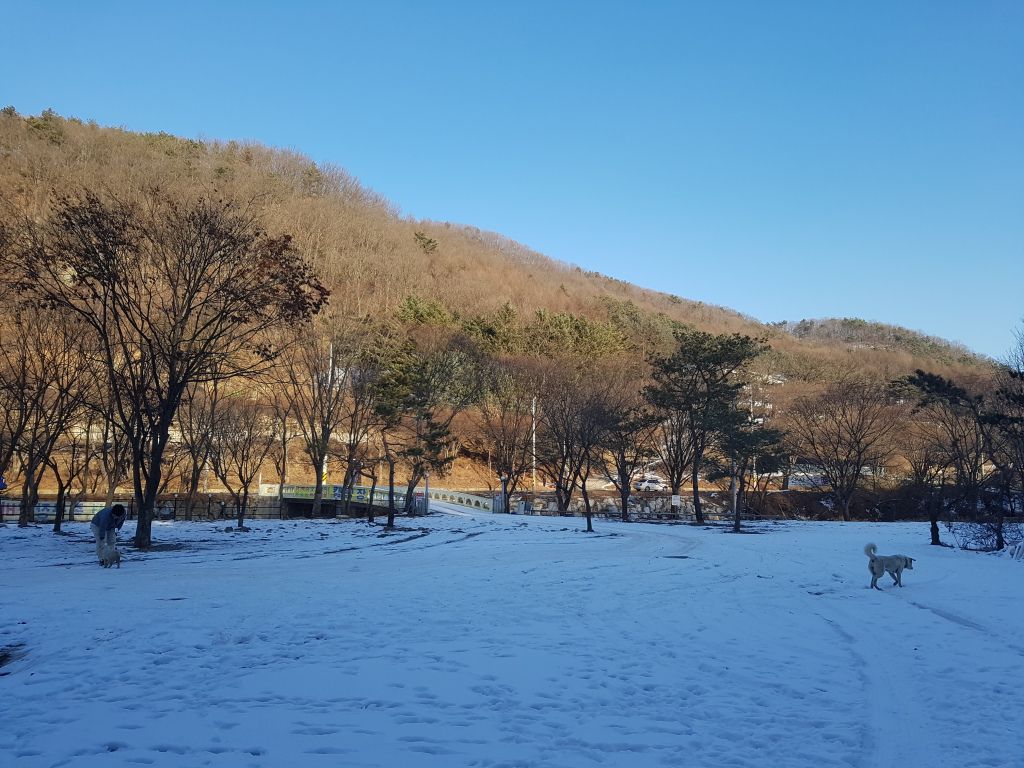 전경사진