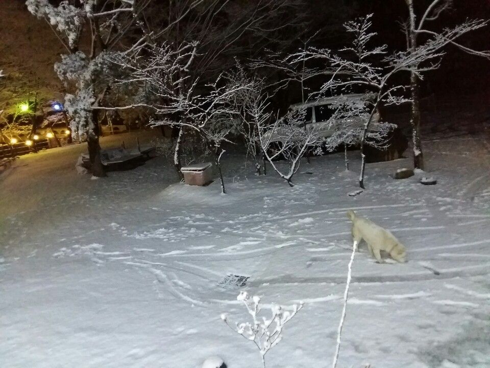 전경사진