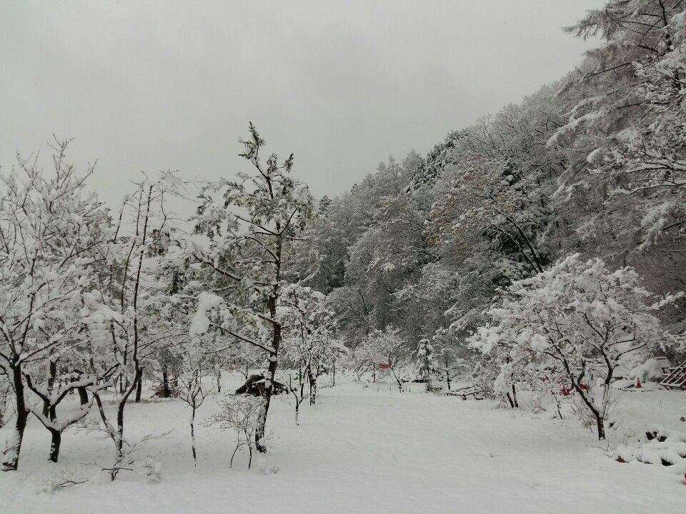 전경사진