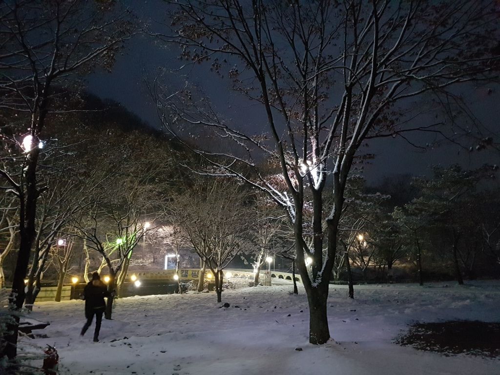 전경사진