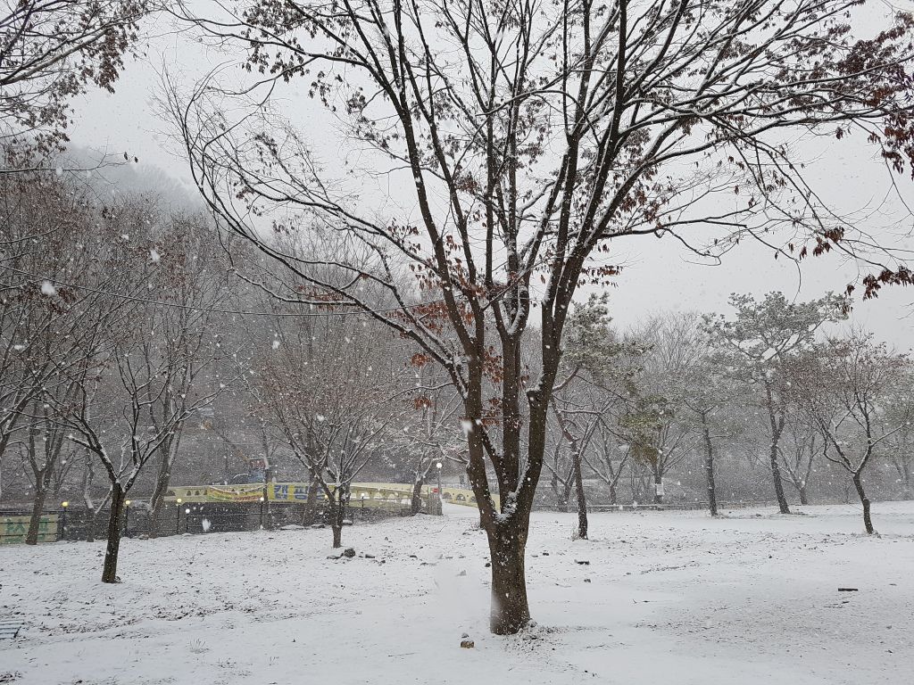 전경사진