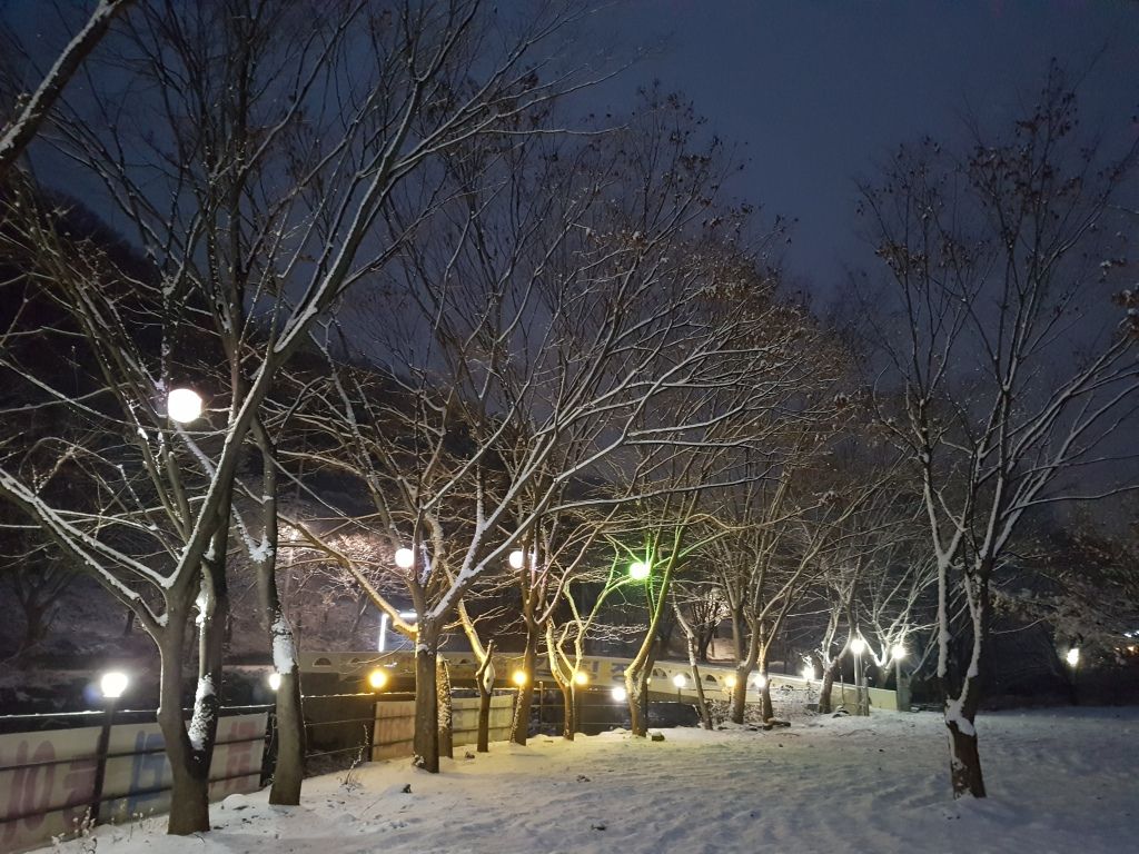 전경사진