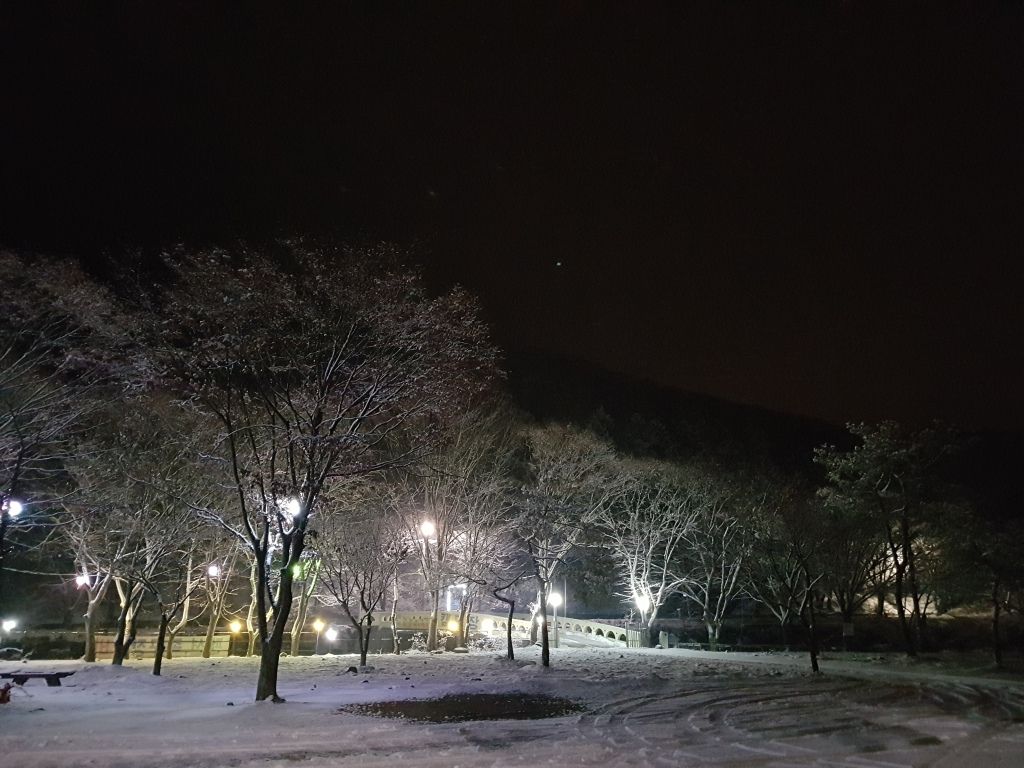 전경사진
