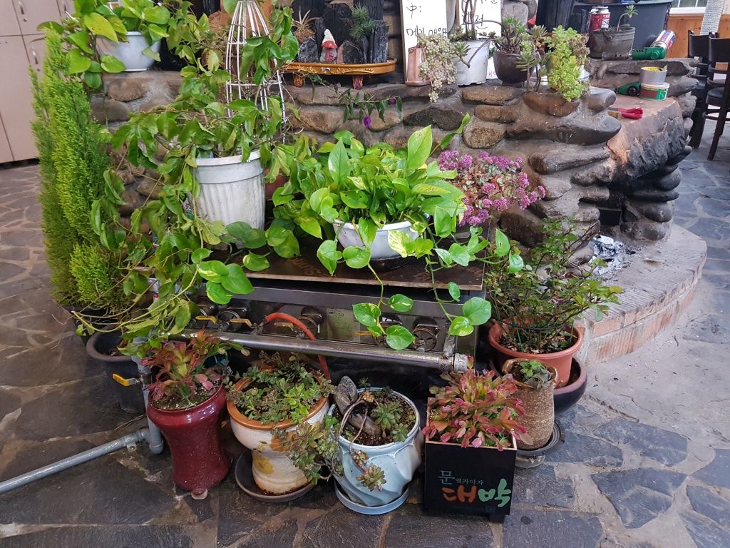 전경사진
