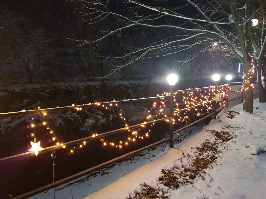 전경사진