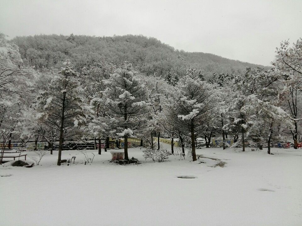 전경사진