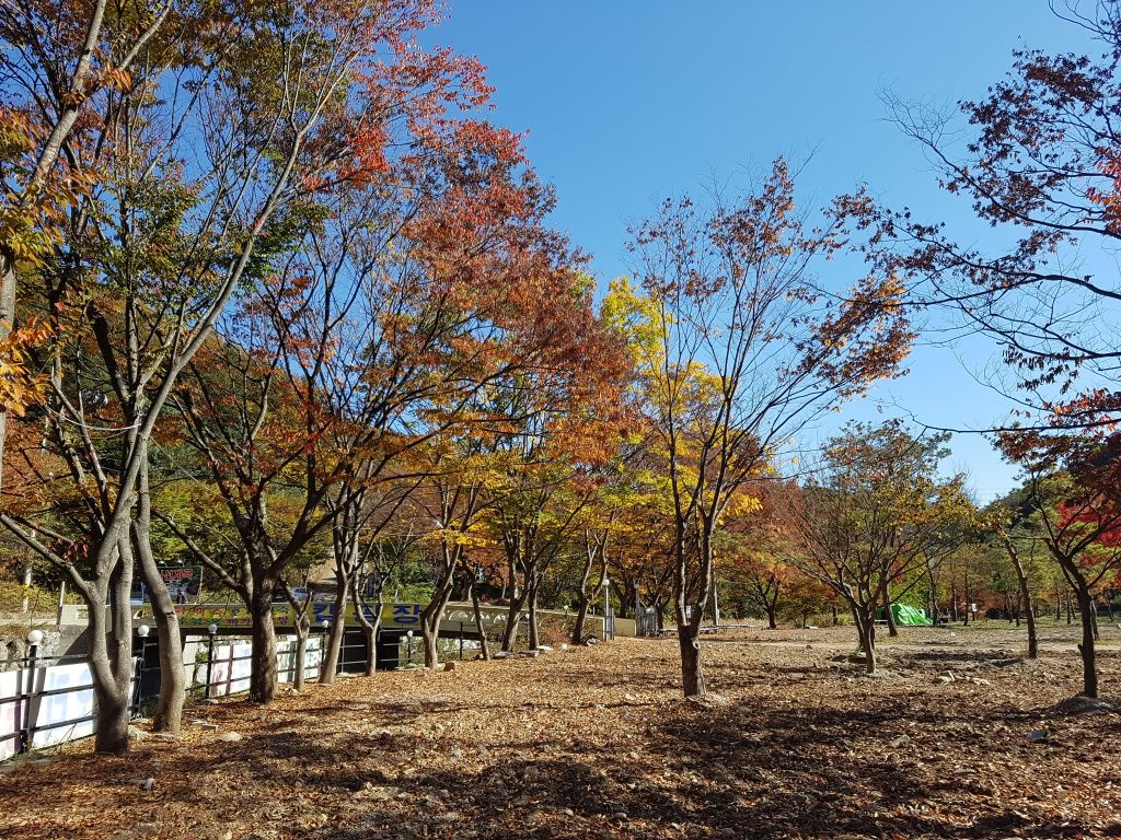 전경사진