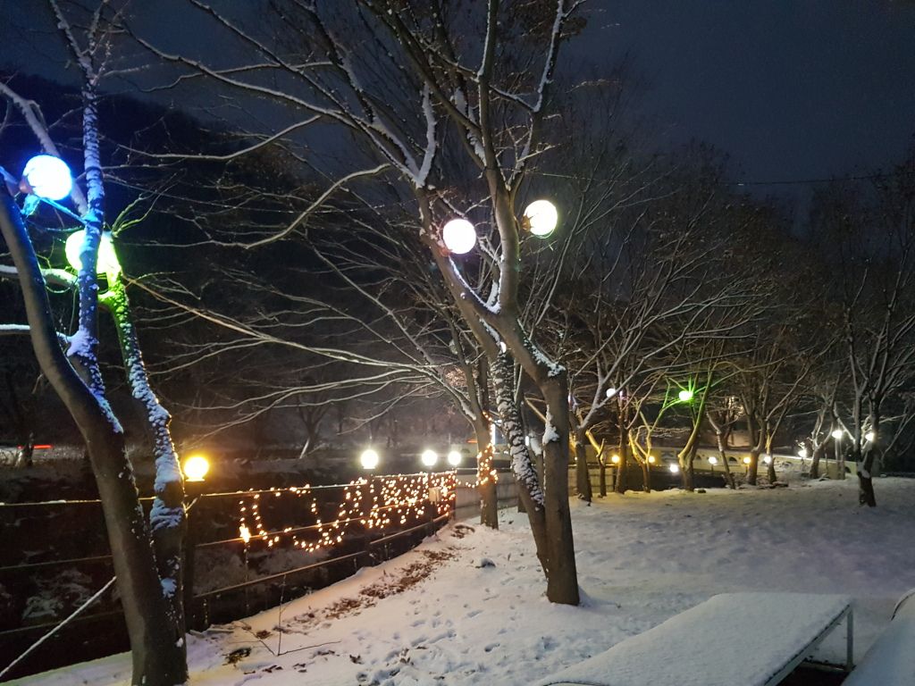 전경사진
