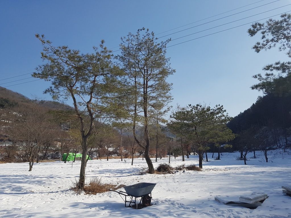 전경사진